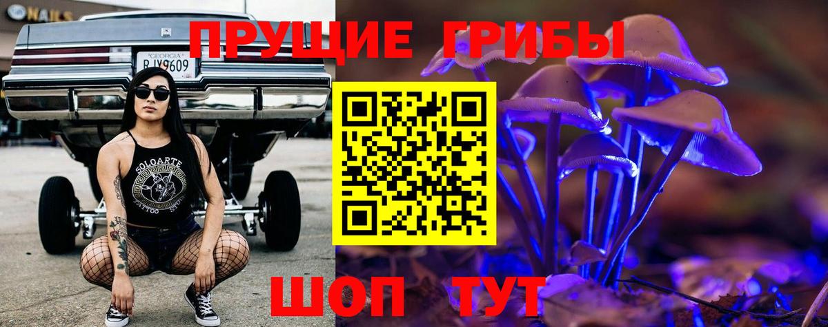Псилоцибиновые грибы Psilocybe Братск